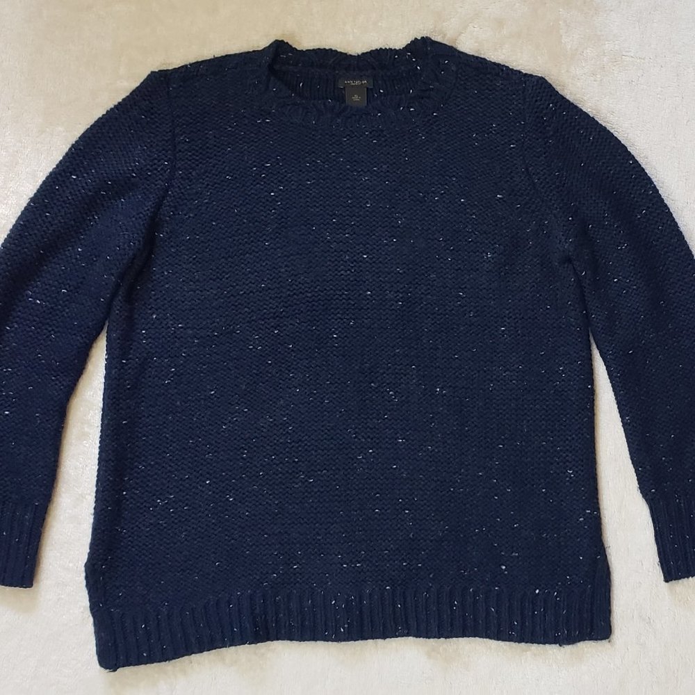 ANN TAYLOR Factory  sweater